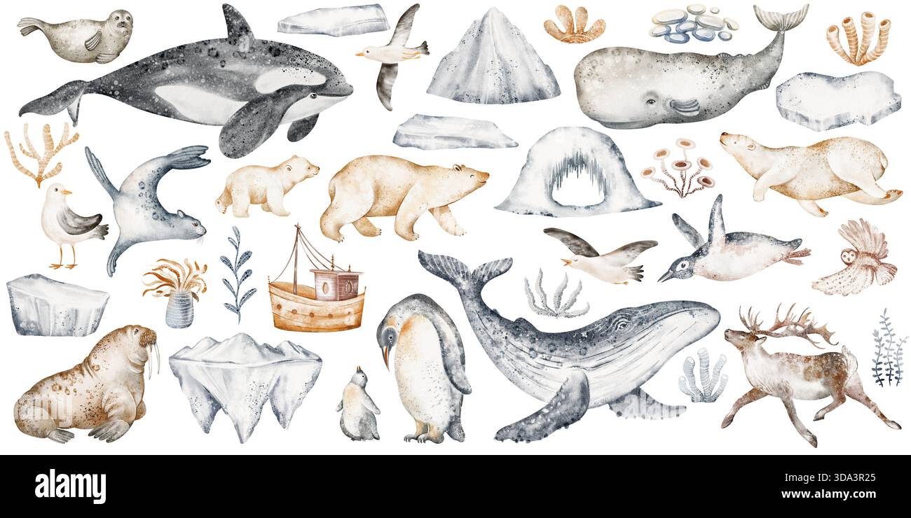 Watercolor arctic animals and ocean elements clipart. North pole ...