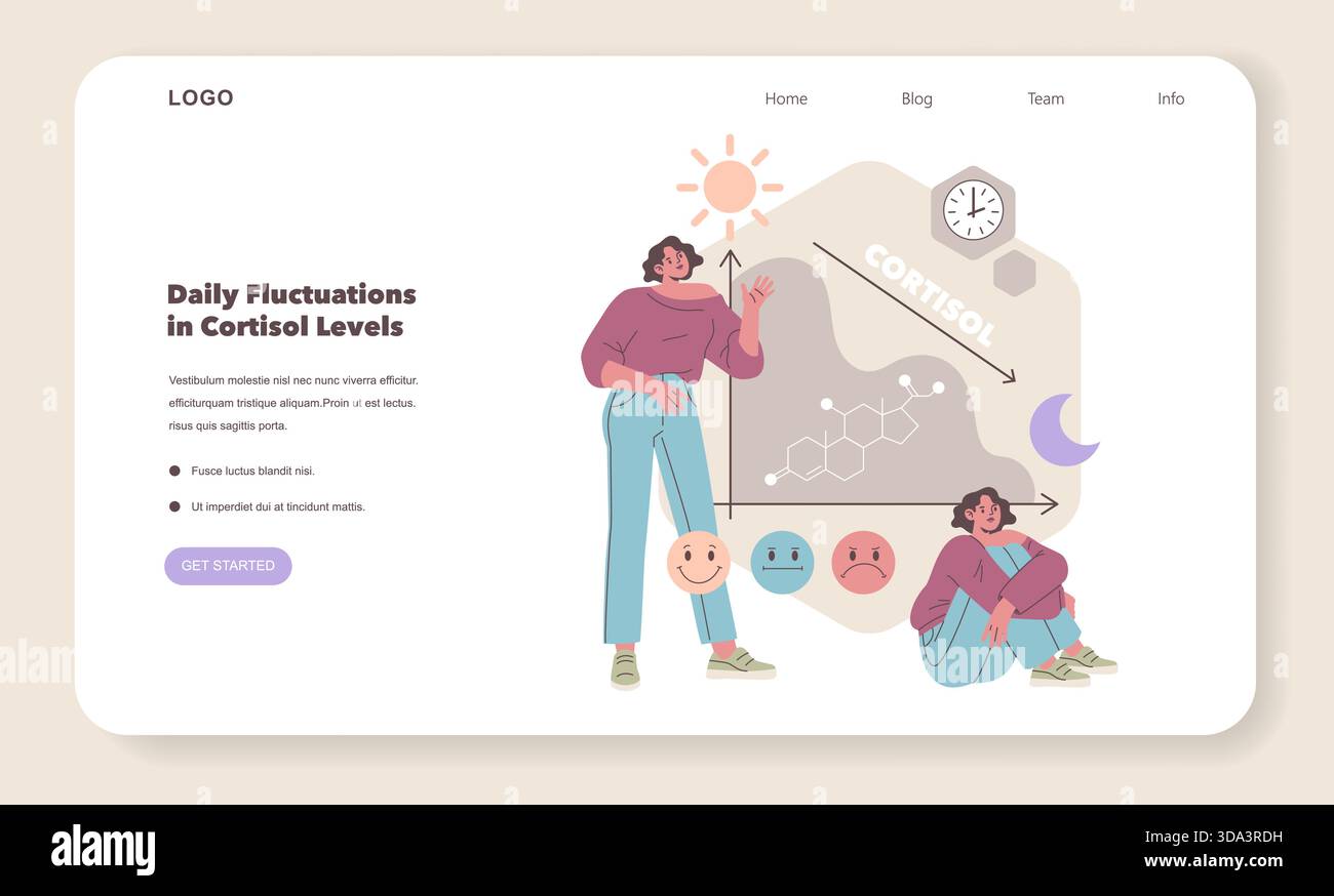 Vector illustration showing daily cortisol level fluctuations with a ...