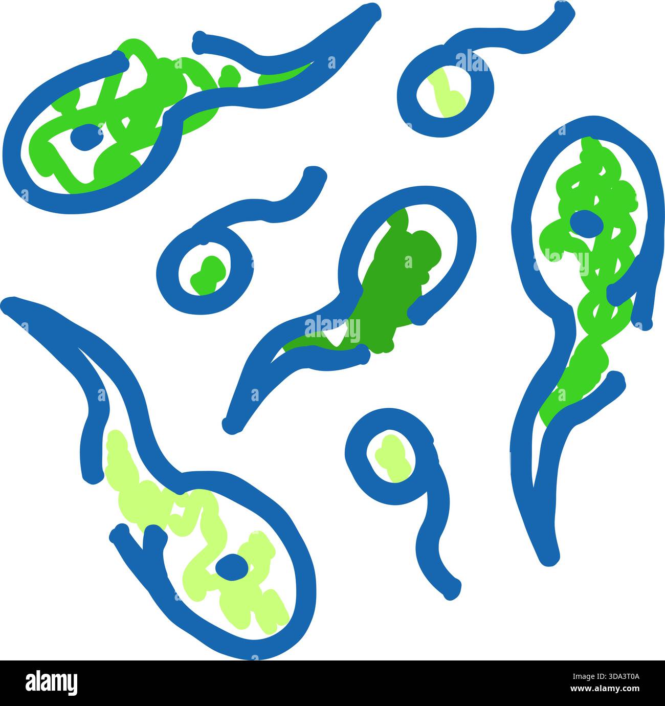 Microorganisms bacteria cell biology medical science concept Stock ...