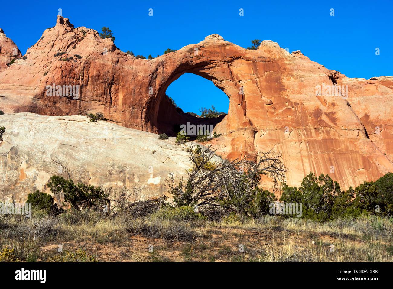Window Rock (Tségháhoodzání), Arizona, United States. Window Rock is a ...