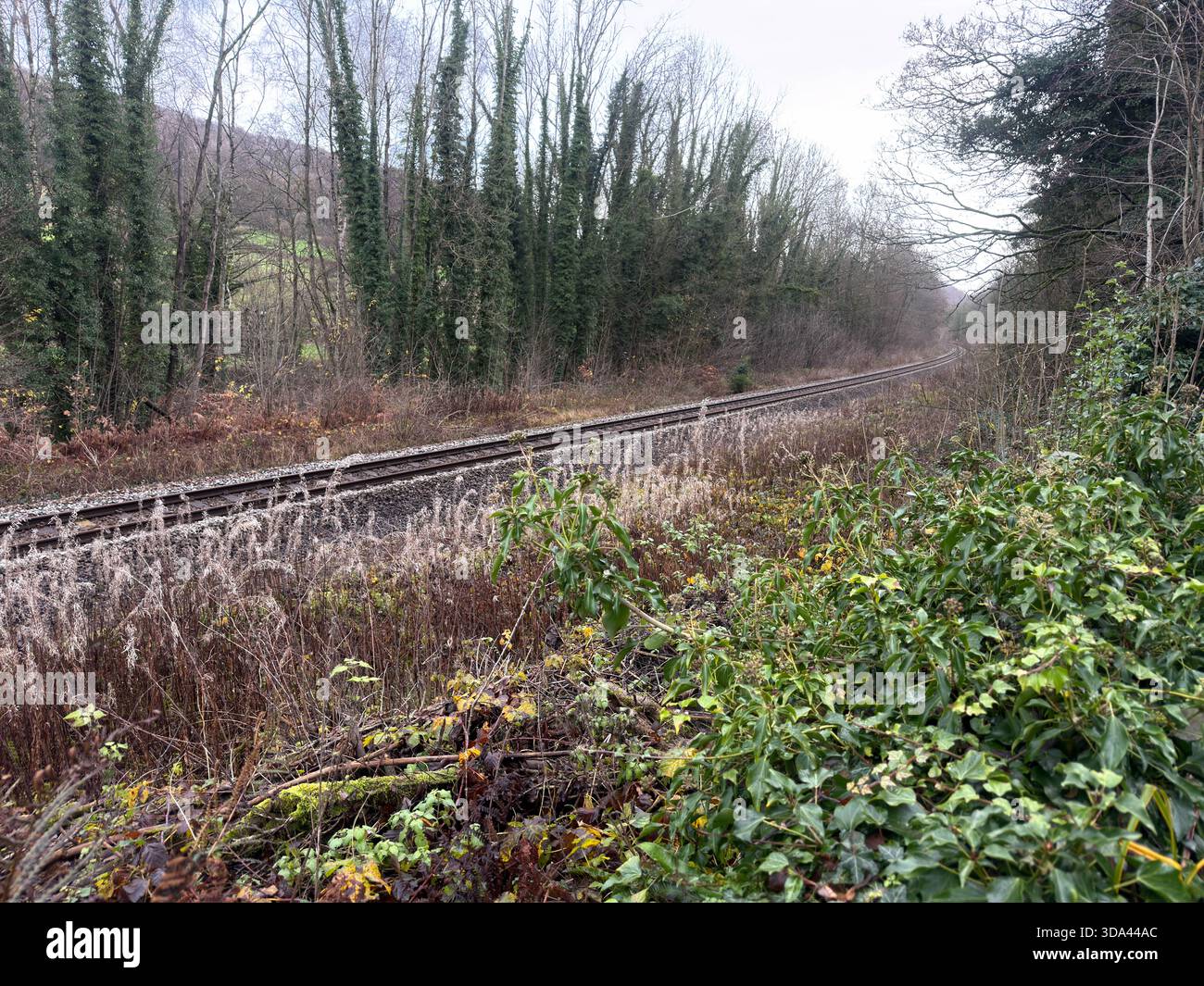 Cromford Canal Derwent Valley Derby to Matlock Railway Line ,High Peak Junction.Derbyshire.England.UK - Smartphone Captured Stock Image