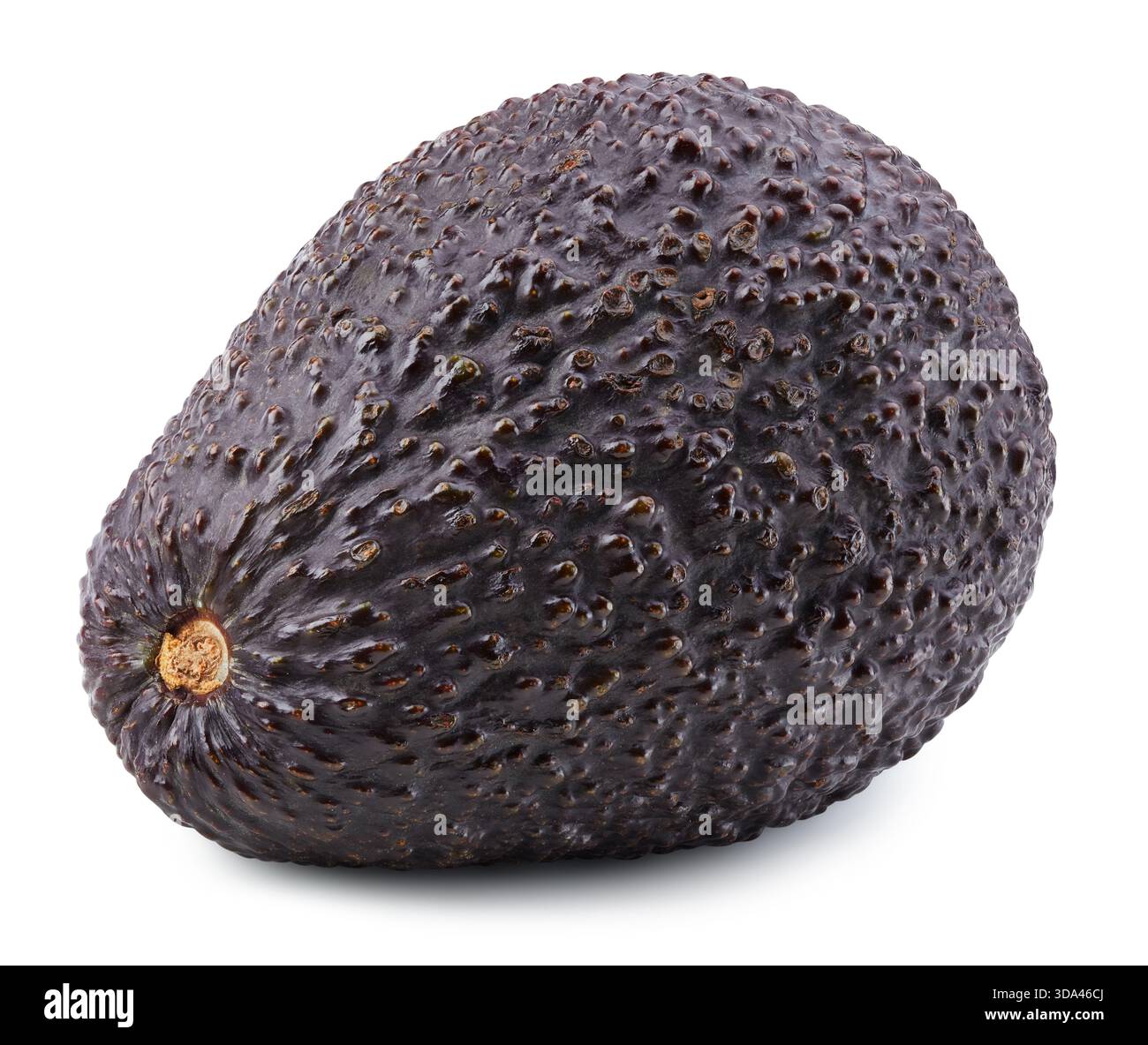 Avocado fruit isolated on white background. Avocado fruit clipping path Stock Photo