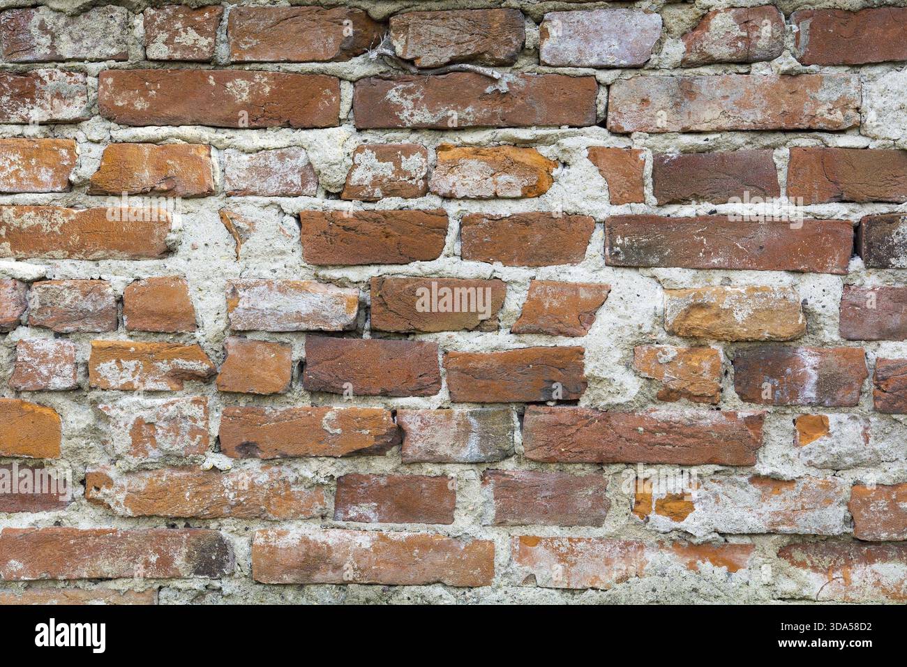 Nice red brick wall Stock Photo