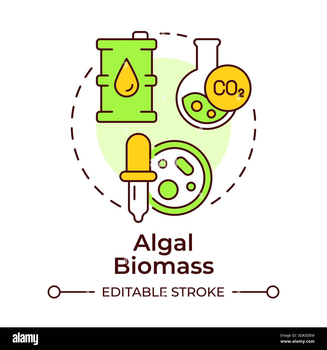 Algal algae Cut Out Stock Images & Pictures - Alamy