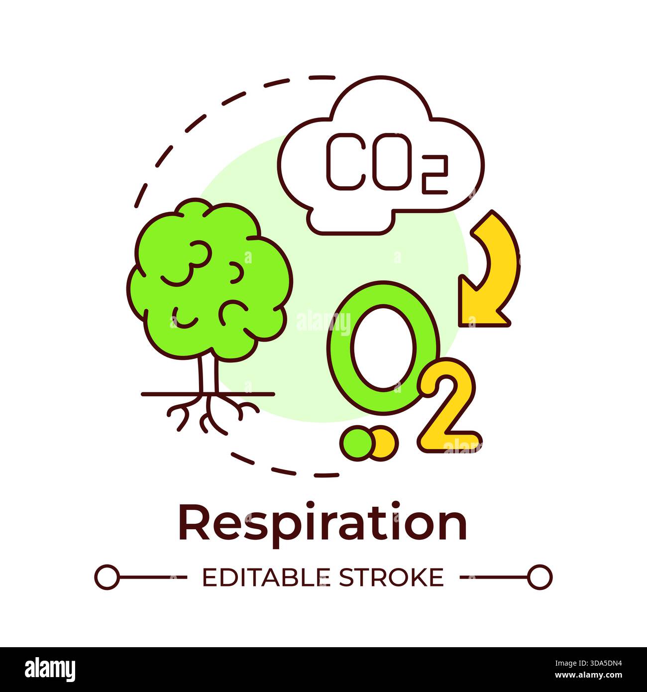 Respiration multi color concept icon Stock Vector
