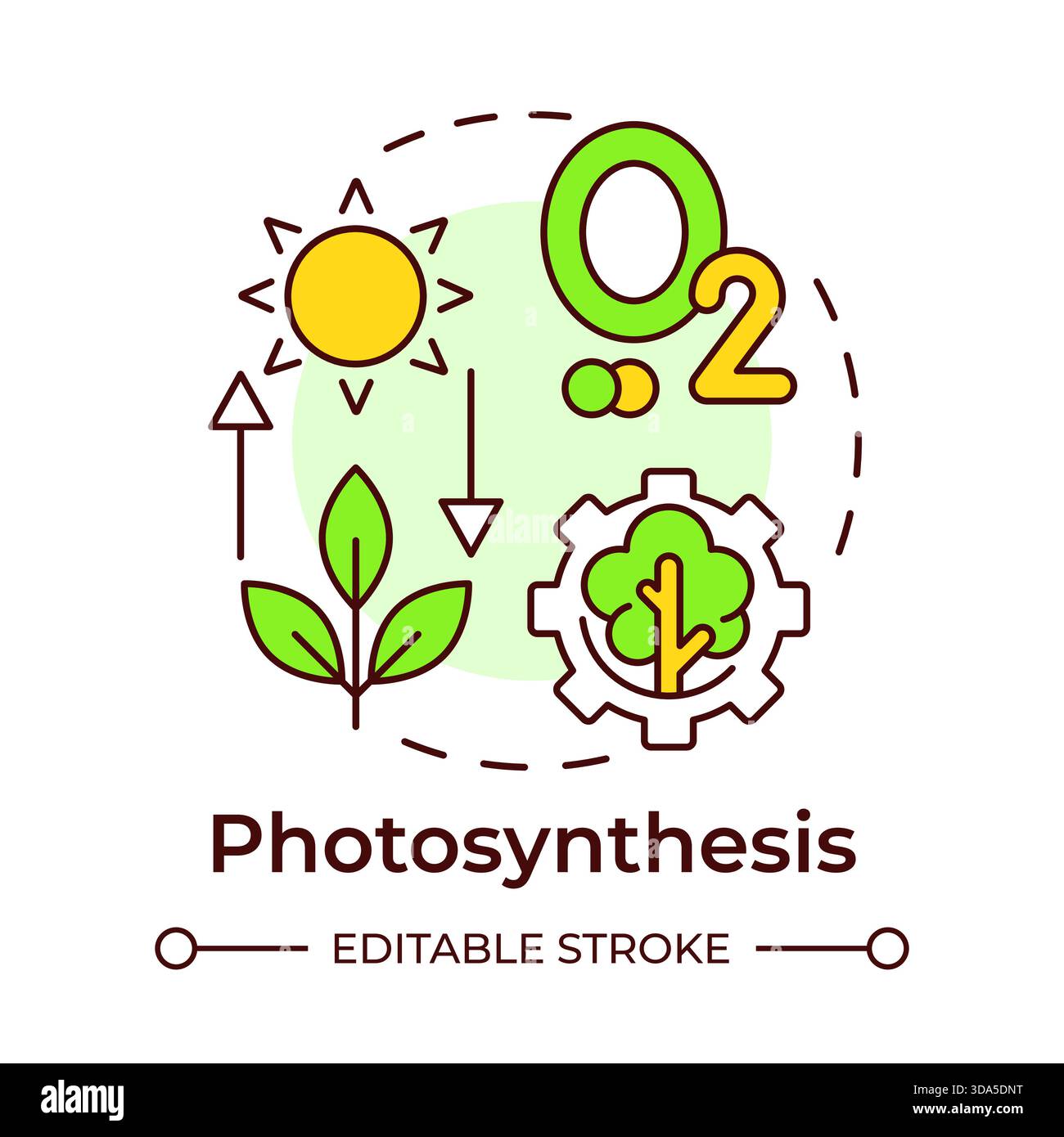 Photosynthesis multi color concept icon Stock Vector