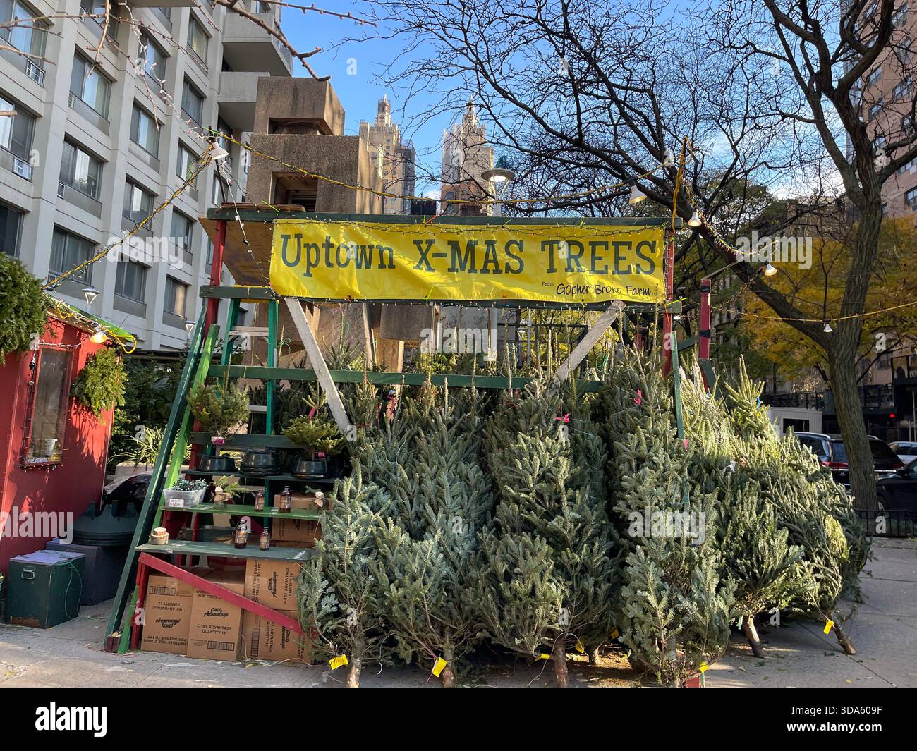 Holiday magic shining bright in the heart of NYC - Smartphone Captured Stock Image