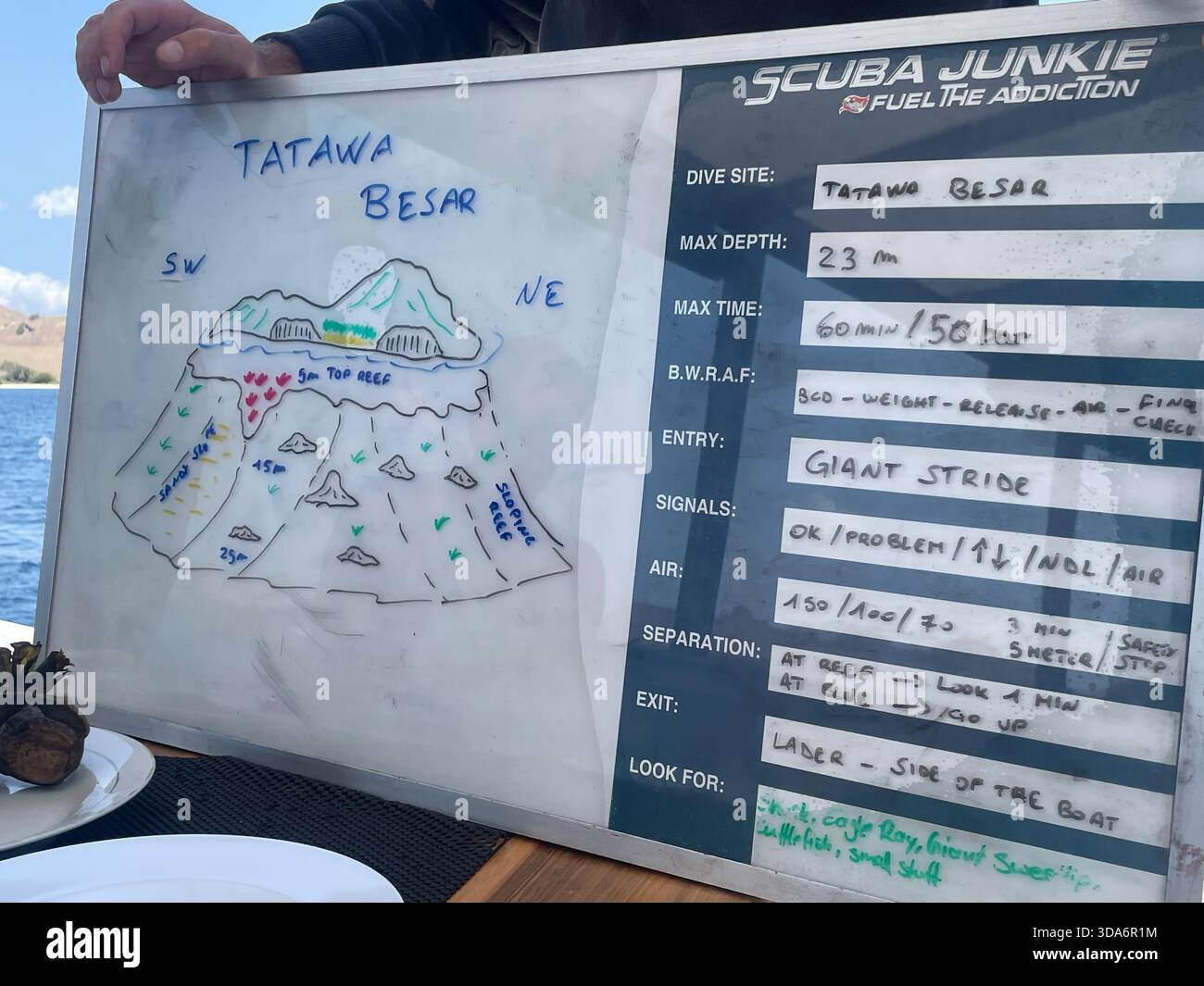 Drawing of a dive site on a whiteboard with explanation of the maximum depth and safety measures, tatawa Besar, Komodo, Indonesia - Smartphone Captured Stock Image
