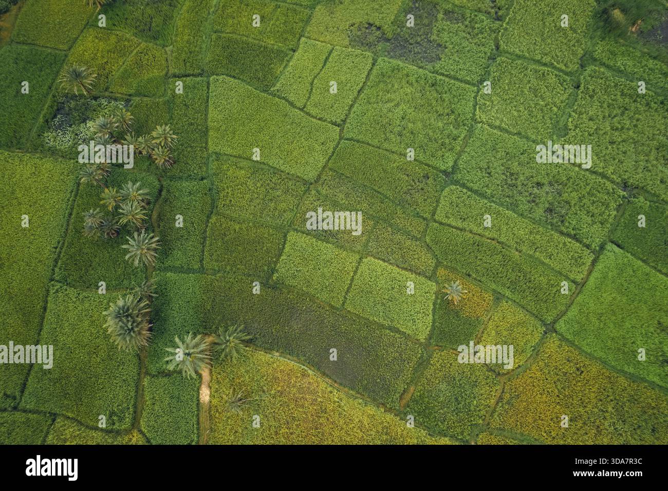 Scattered Patchwork Aerial shot patchwork fields scattered hi-res stock photography and ...