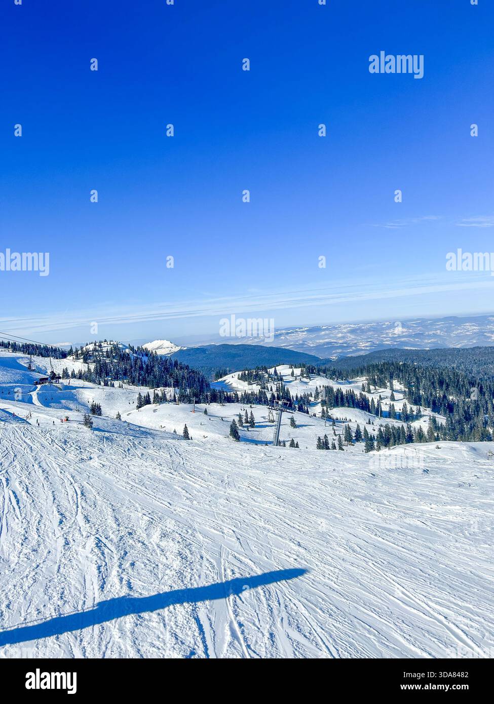 Expansive snowy slopes and forested ridges on Jahorina Mountain under a vivid blue sky, capturing a peaceful winter landscape ideal for skiing and out - Smartphone Captured Stock Image