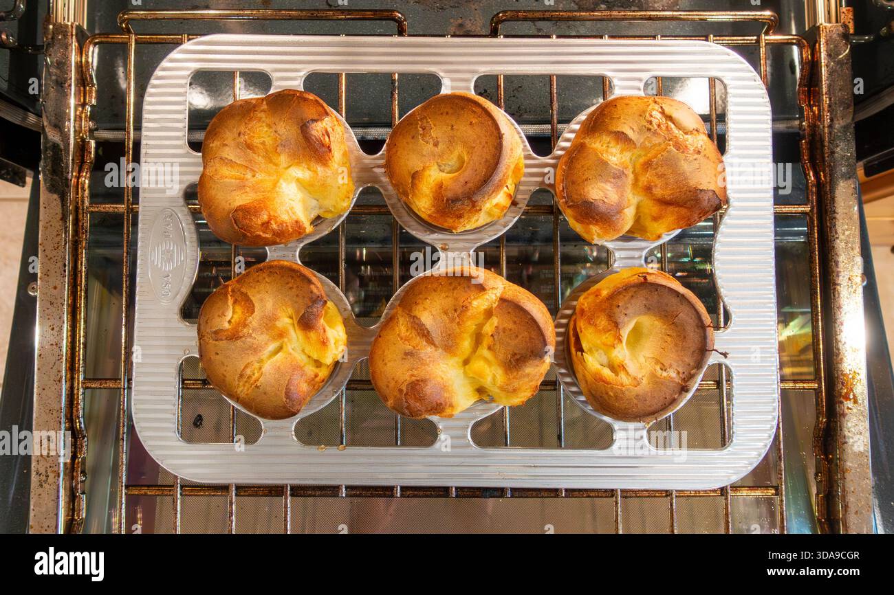 A tray of Baked Light American Golden Popovers  in tin on rack in oven Stock Photo