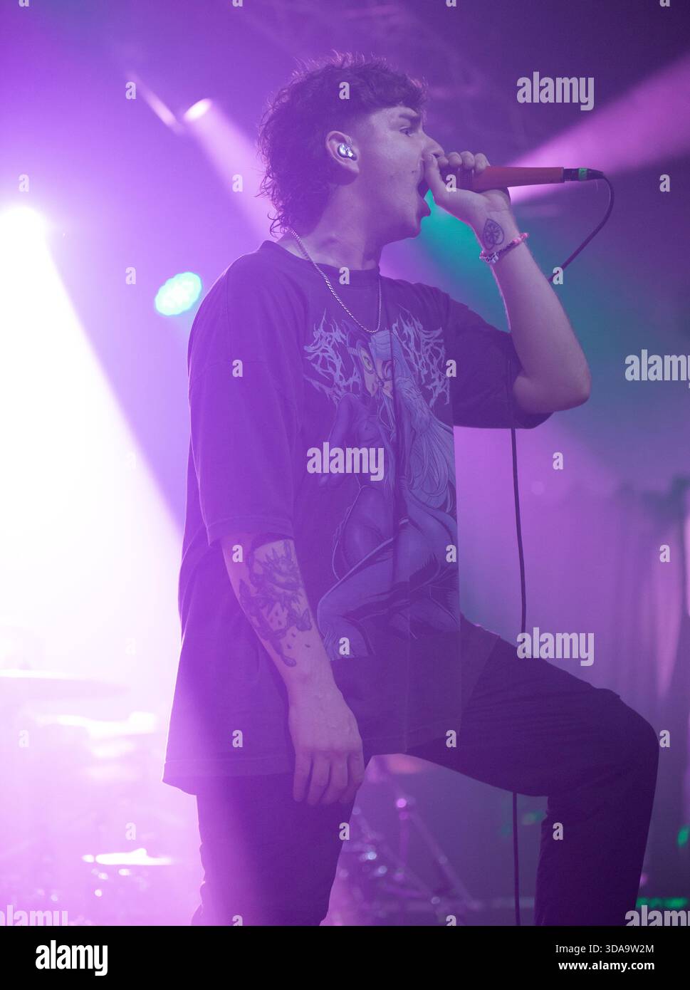 Alpha wolf live 2025 hi-res stock photography and images - Alamy