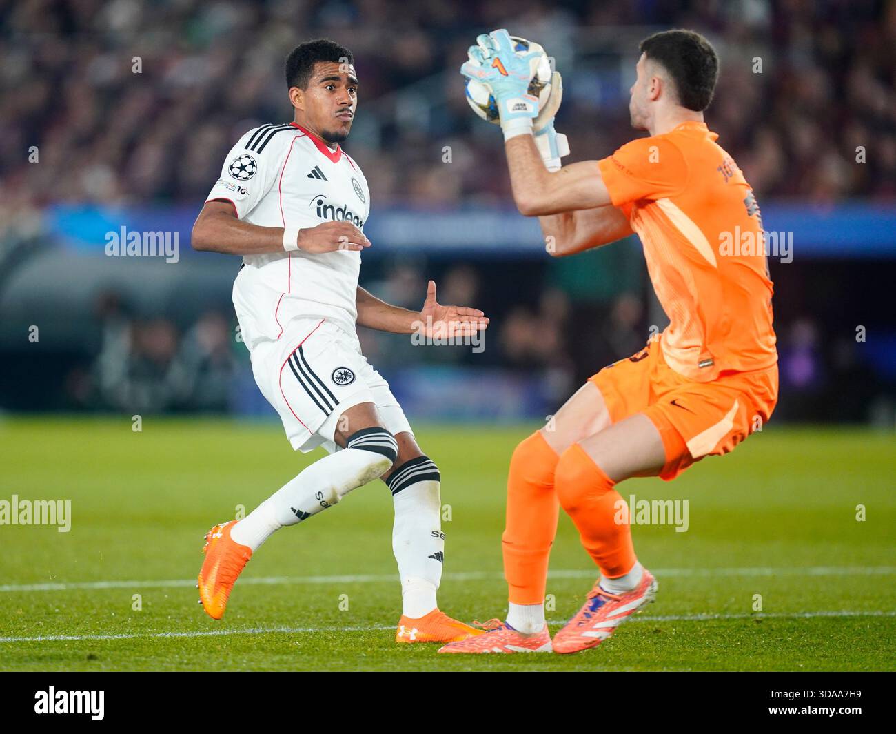Ansgar Knauff of Eintracht Frankfurt during the UEFA Champions League ...