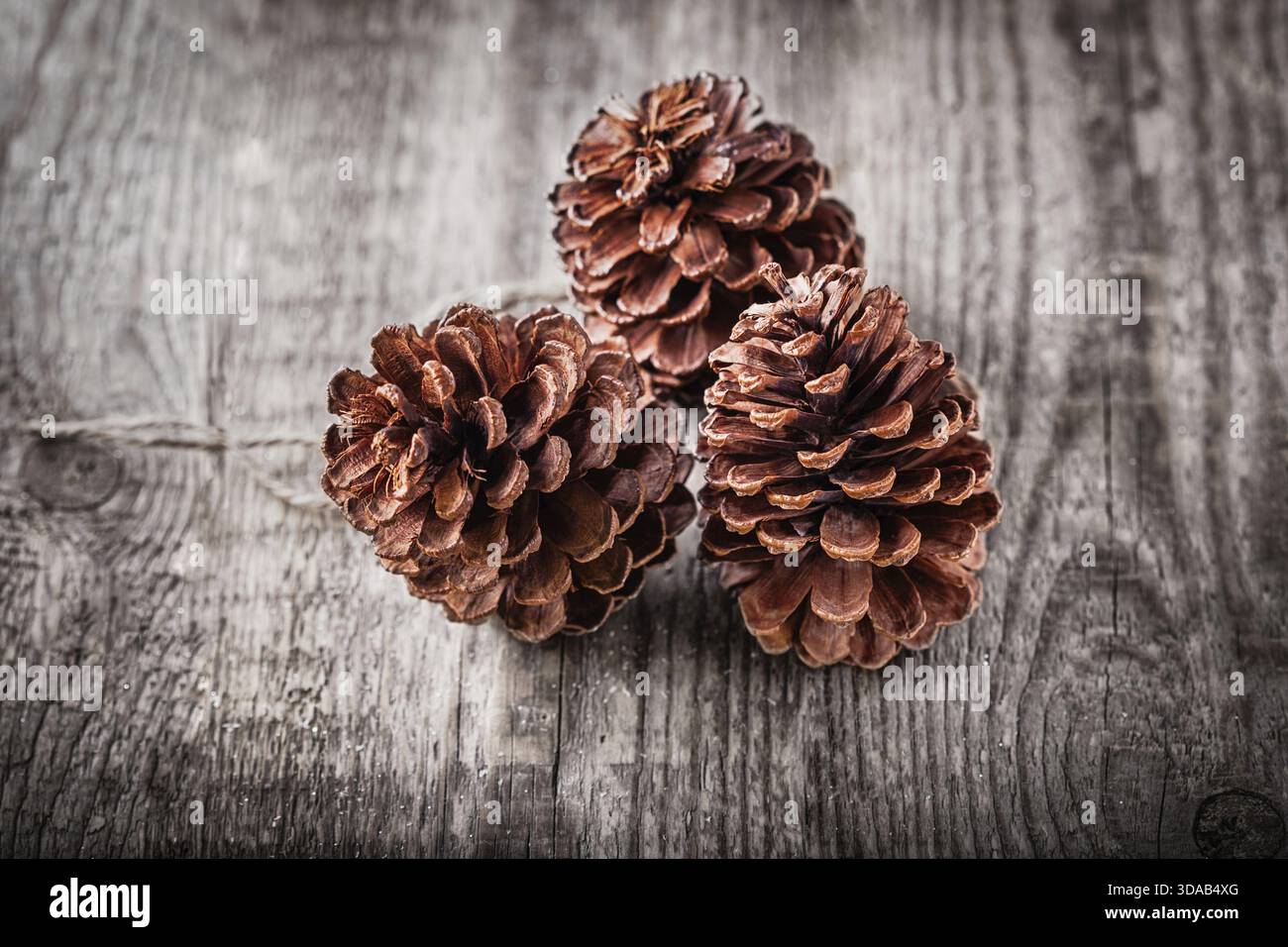 Natural wooden background with three pine cones Stock Photo