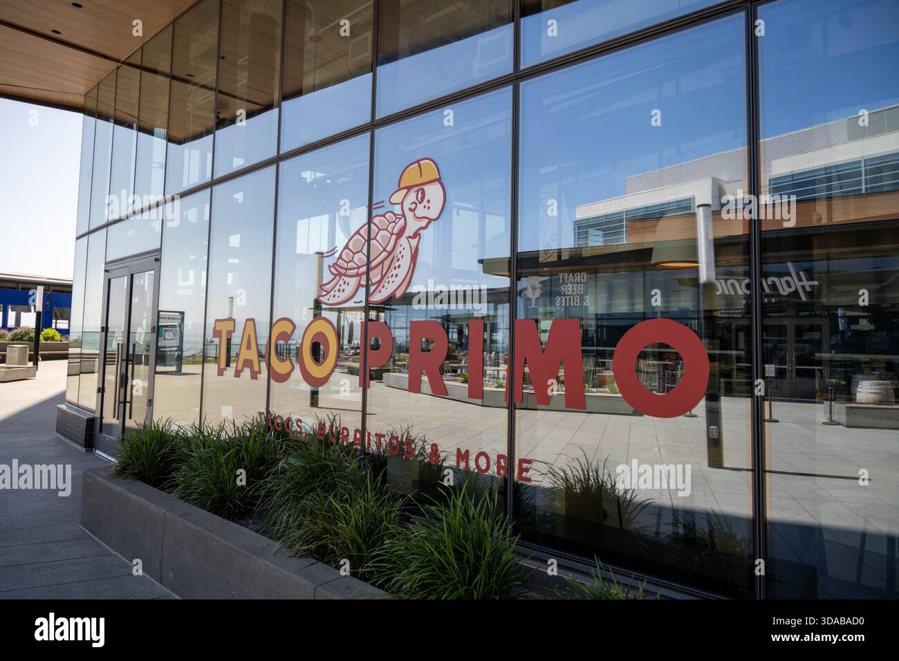 Glass storefront with Taco Primo logo and cartoon turtle graphic at ...