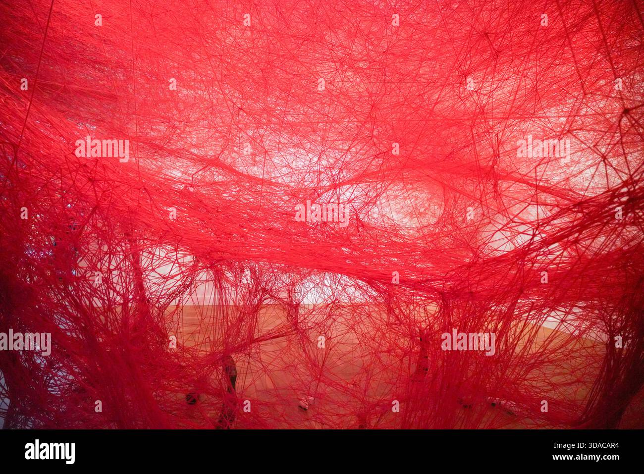 Chiharu Shiota, Absence Embodied, Art Gallery of South Australia ...