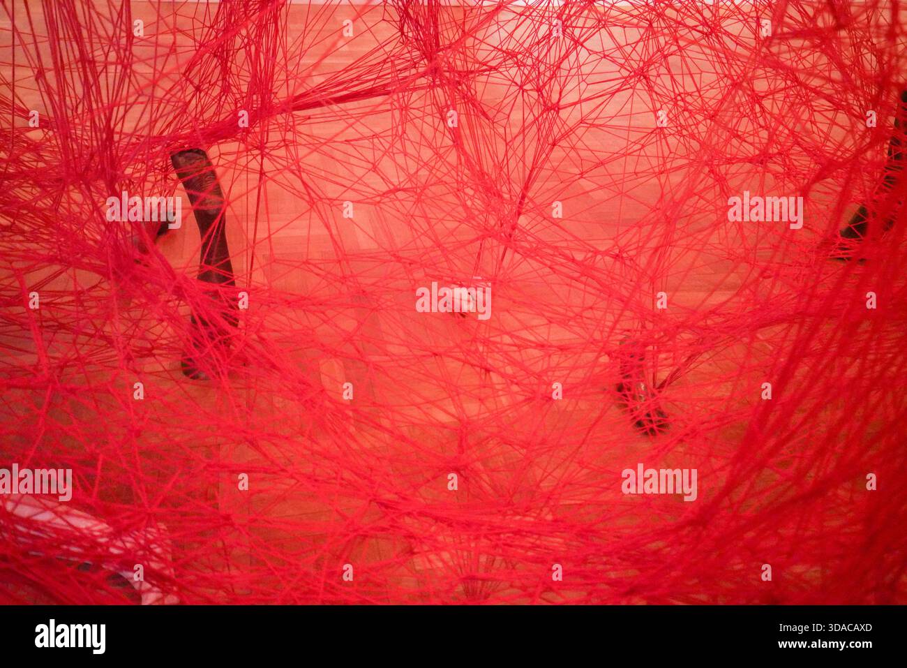 Chiharu Shiota, Absence Embodied, Art Gallery of South Australia ...