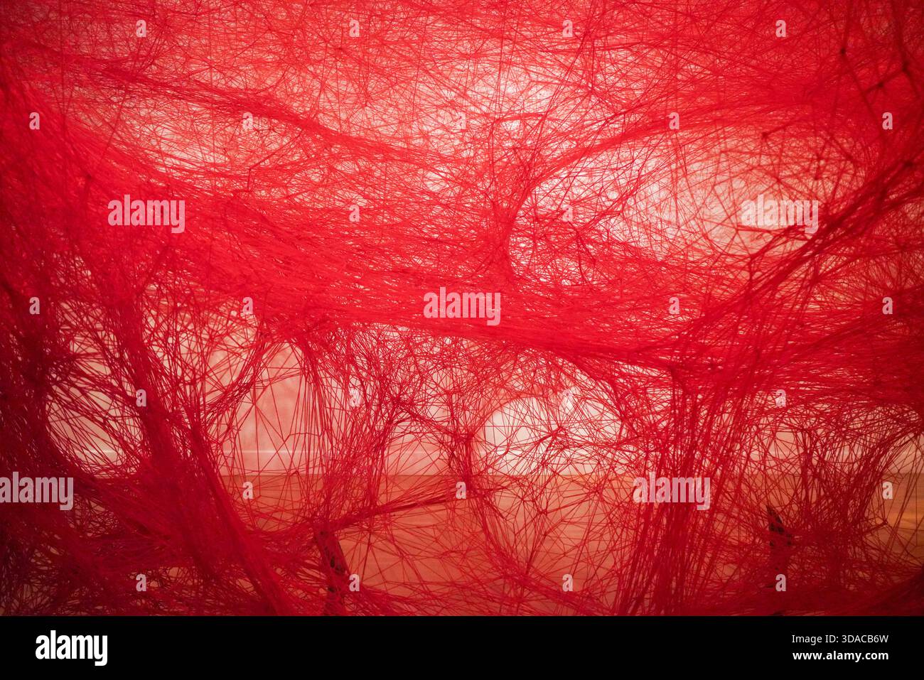 Chiharu Shiota, Absence Embodied, Art Gallery of South Australia ...