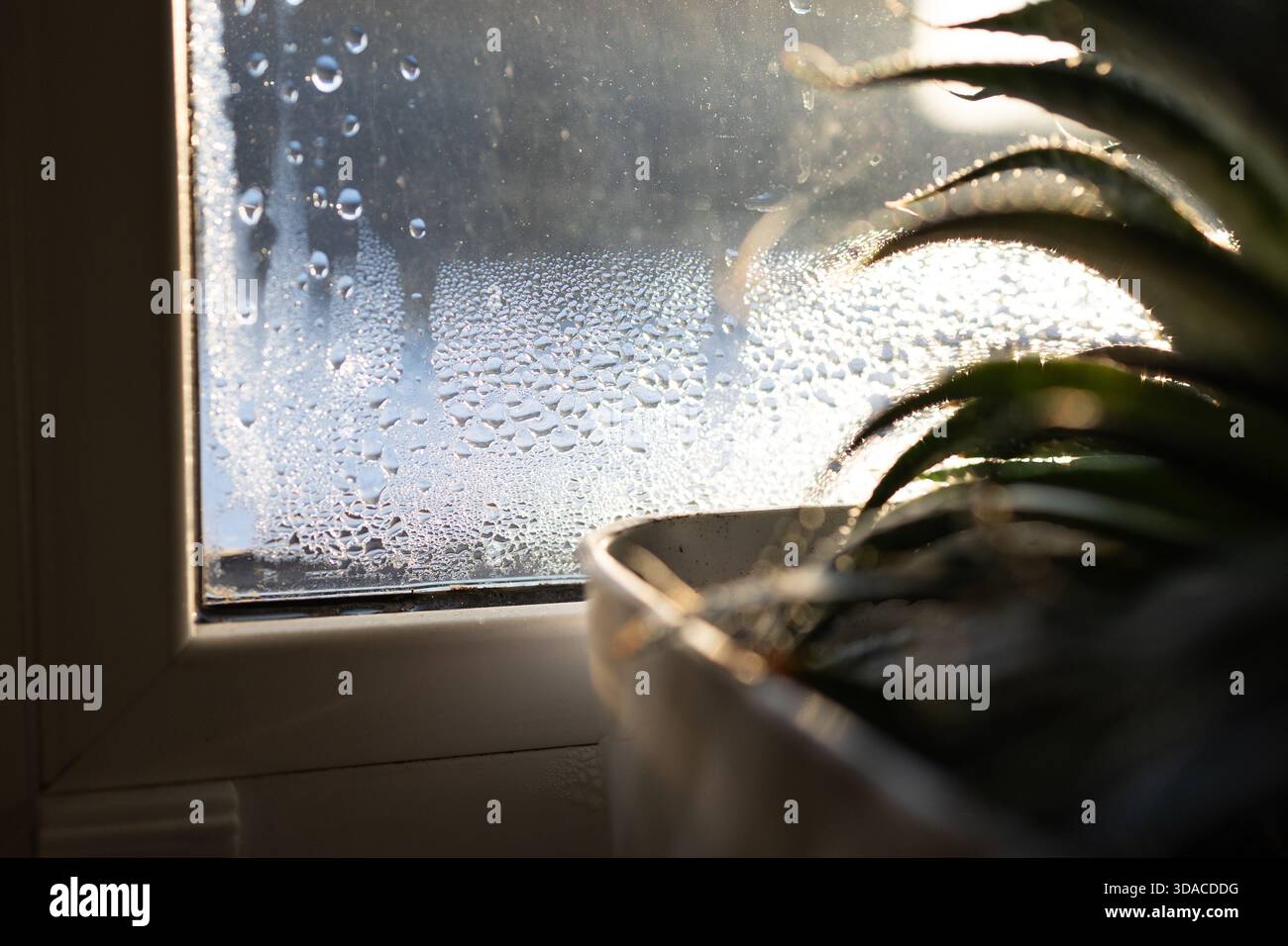 Moisture gathers on a window, showing the need for proper ventilation ...