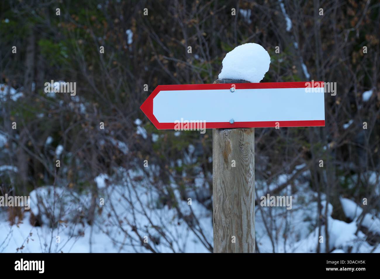 Snowyproof Sign Blank directional sign showing the way in a cold snowy winter forest ...