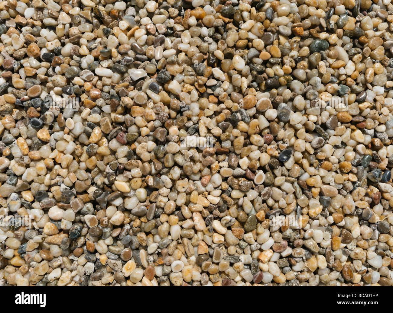 Even surface of small pebbles viewed from above. Background texture Stock Photo