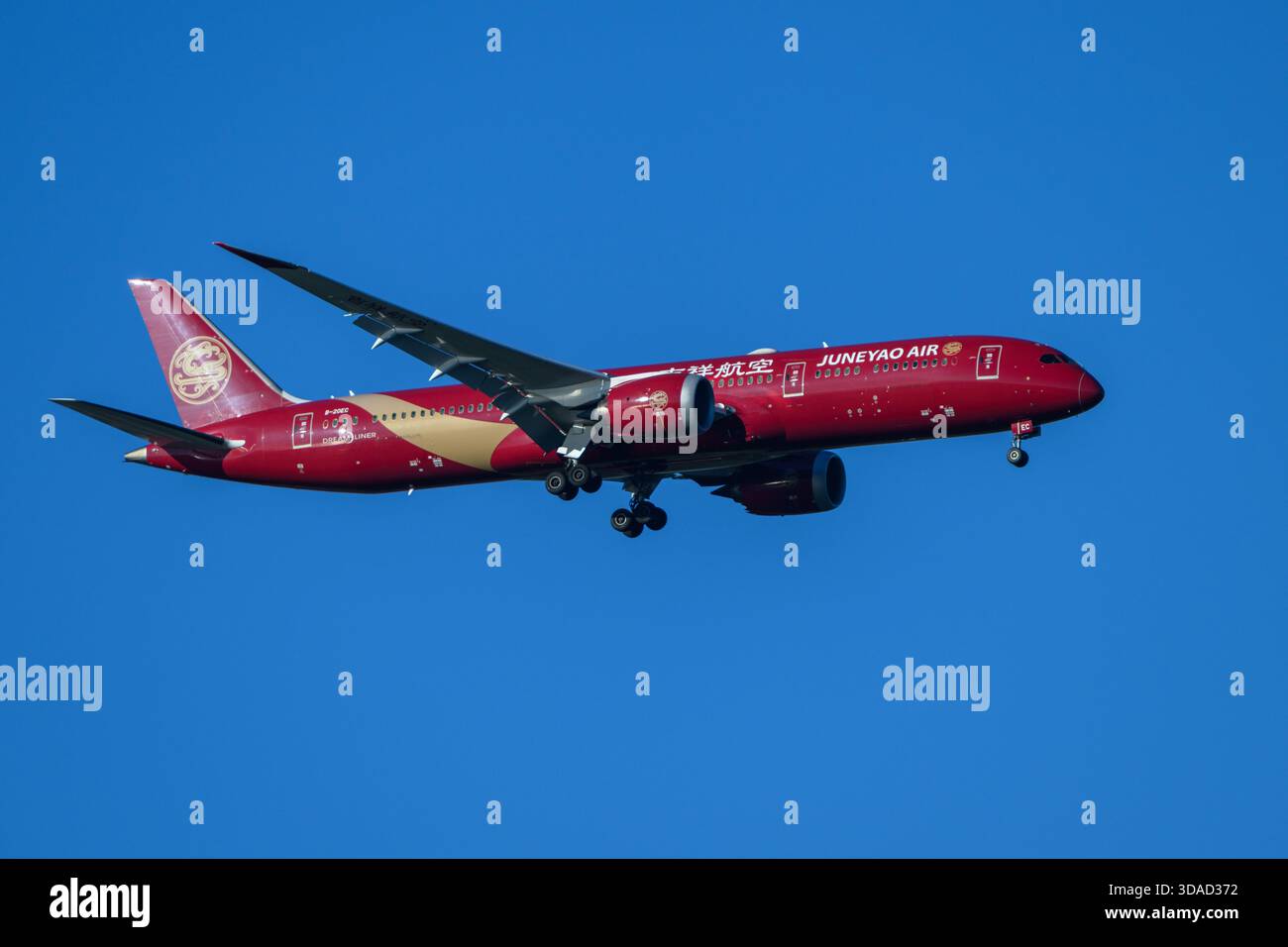 Juneyao Airlines Boeing B787 on final approach Stock Photo - Alamy