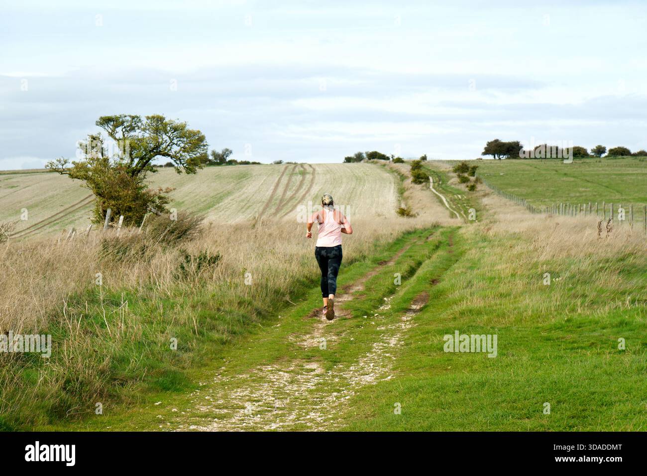 Ridgeway hi-res stock photography and images - Alamy