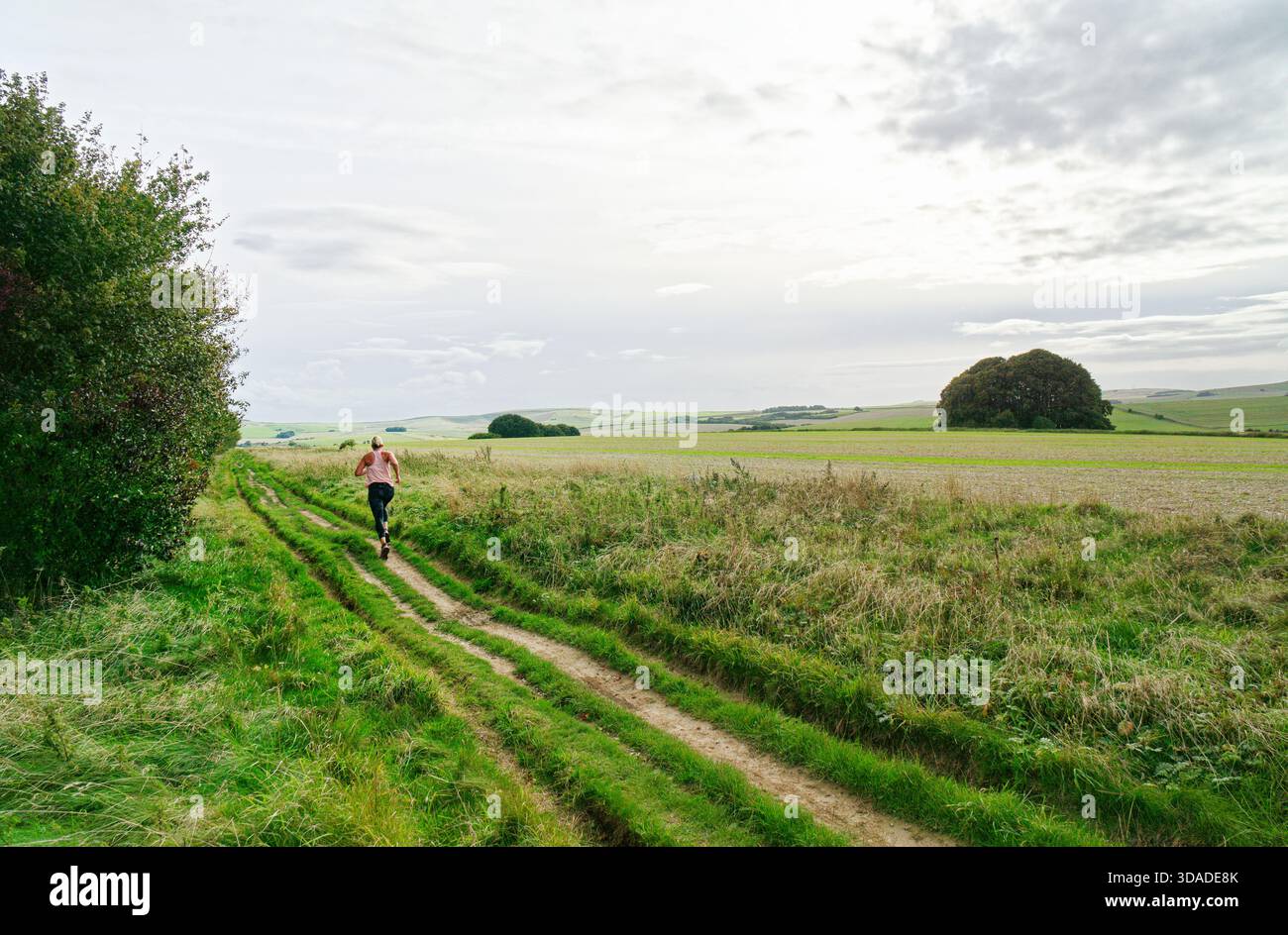 The Ridgeway National Trail at Fyfield Down 1km from its Overton Hill ...