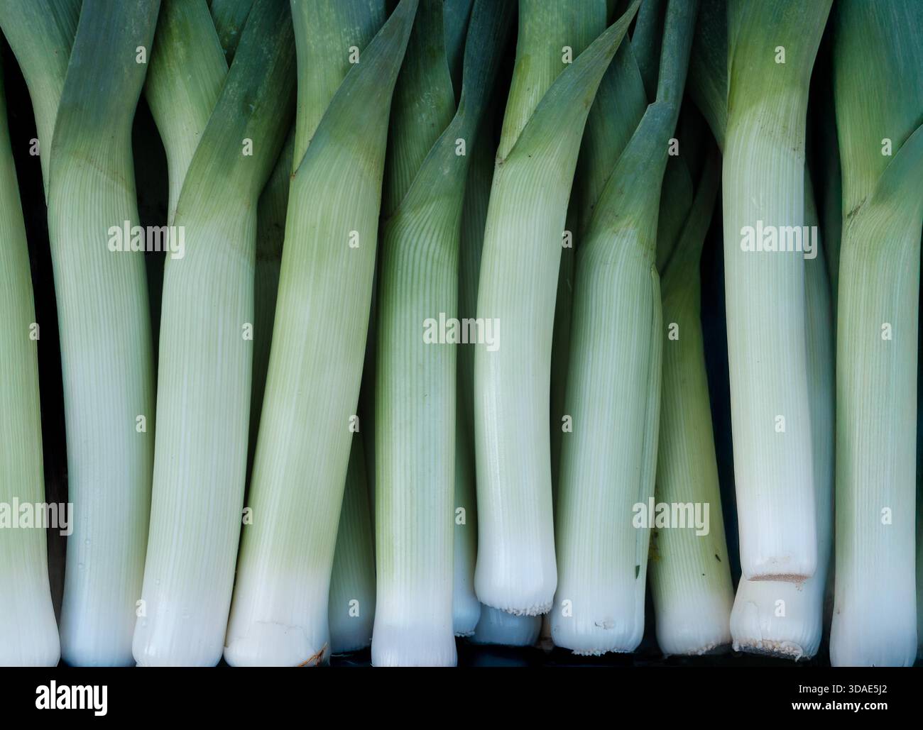 Stalls Texture A Background Texture Of Leeks At A Market Stall Stock Photo - Alamy