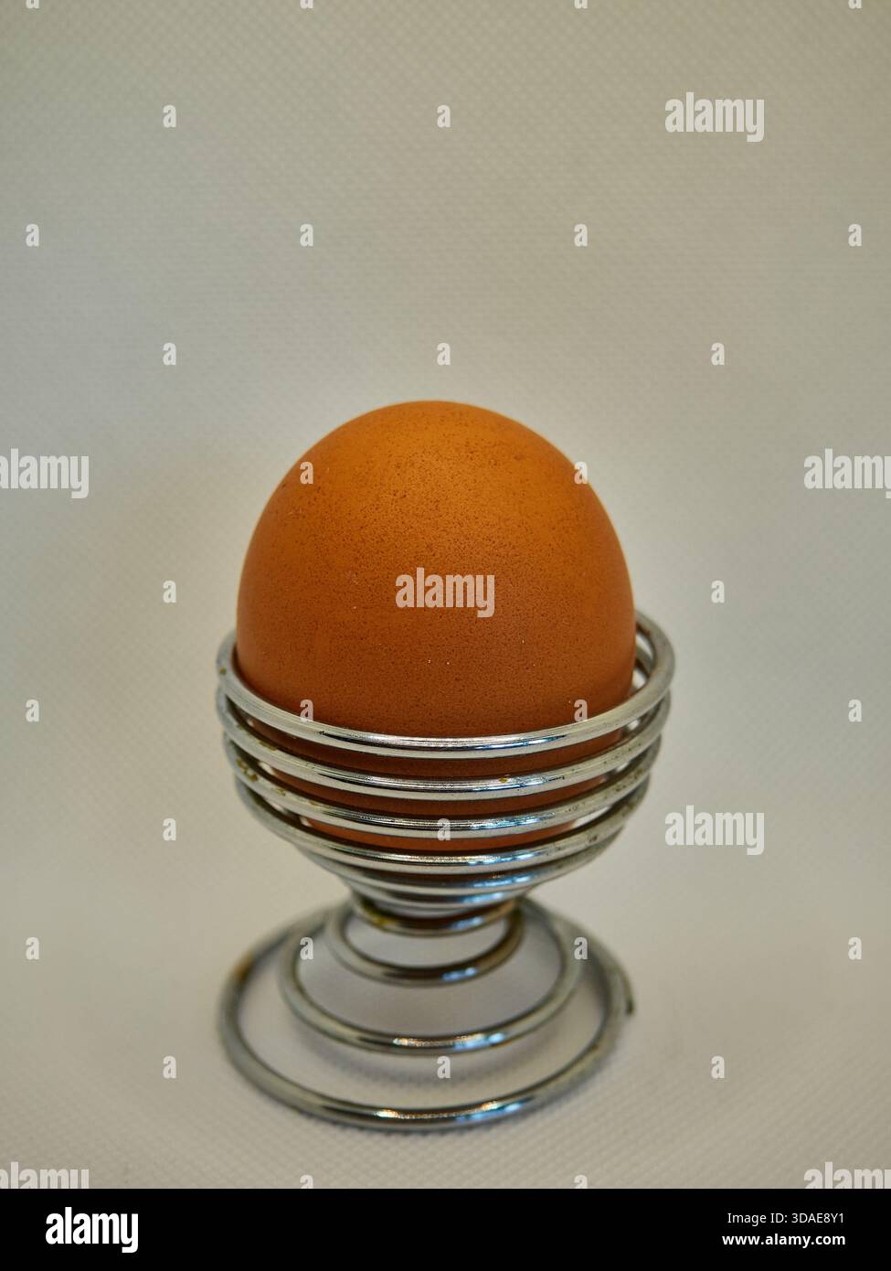Single brown chicken egg in spiral metal wire egg cup on white background Stock Photo