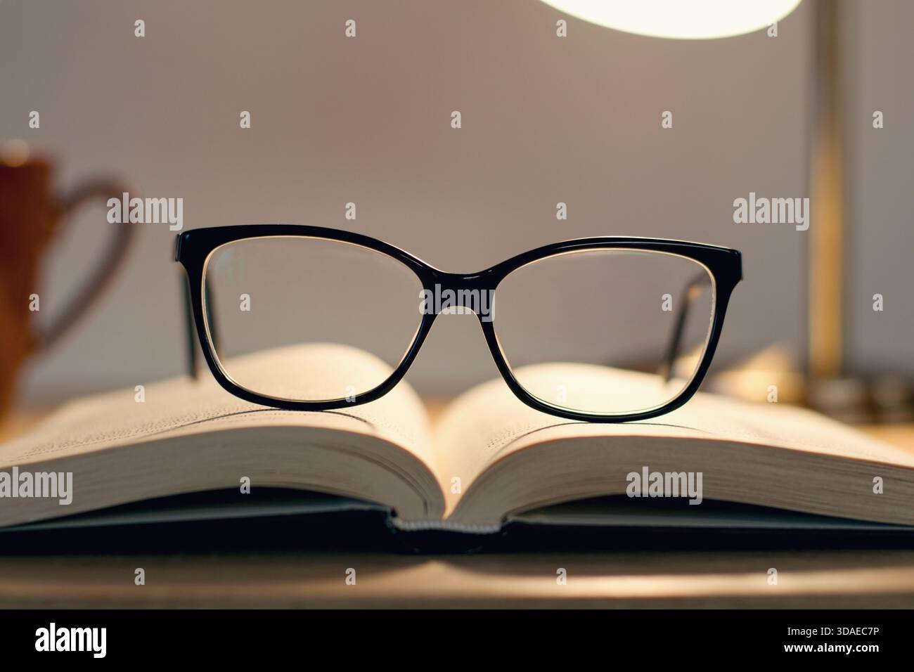 Reading glasses lying on the open book Stock Photo
