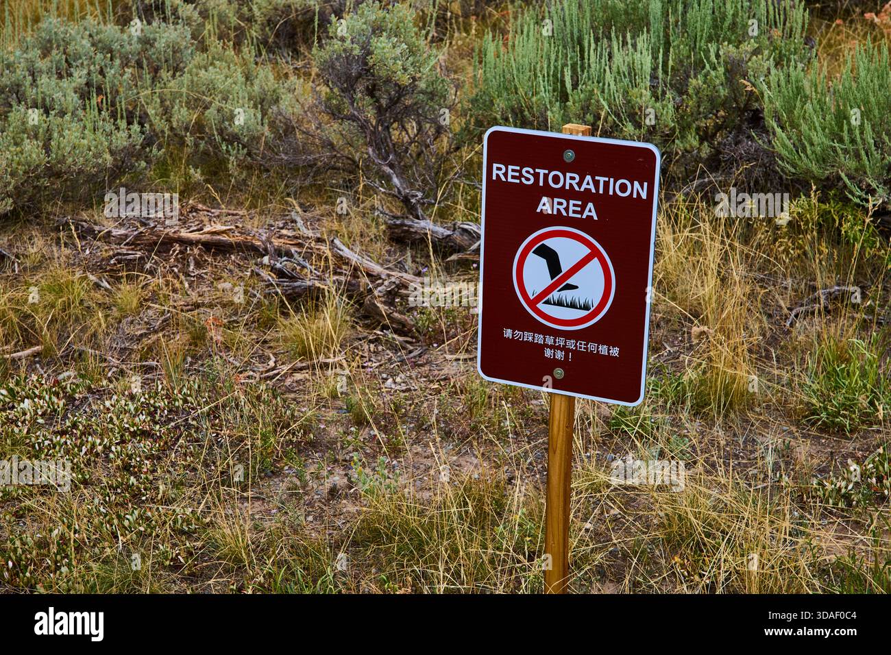 Restoration Area Sign Among Native Grasses and Sagebrush in Grand Teton Wyoming Stock Photo