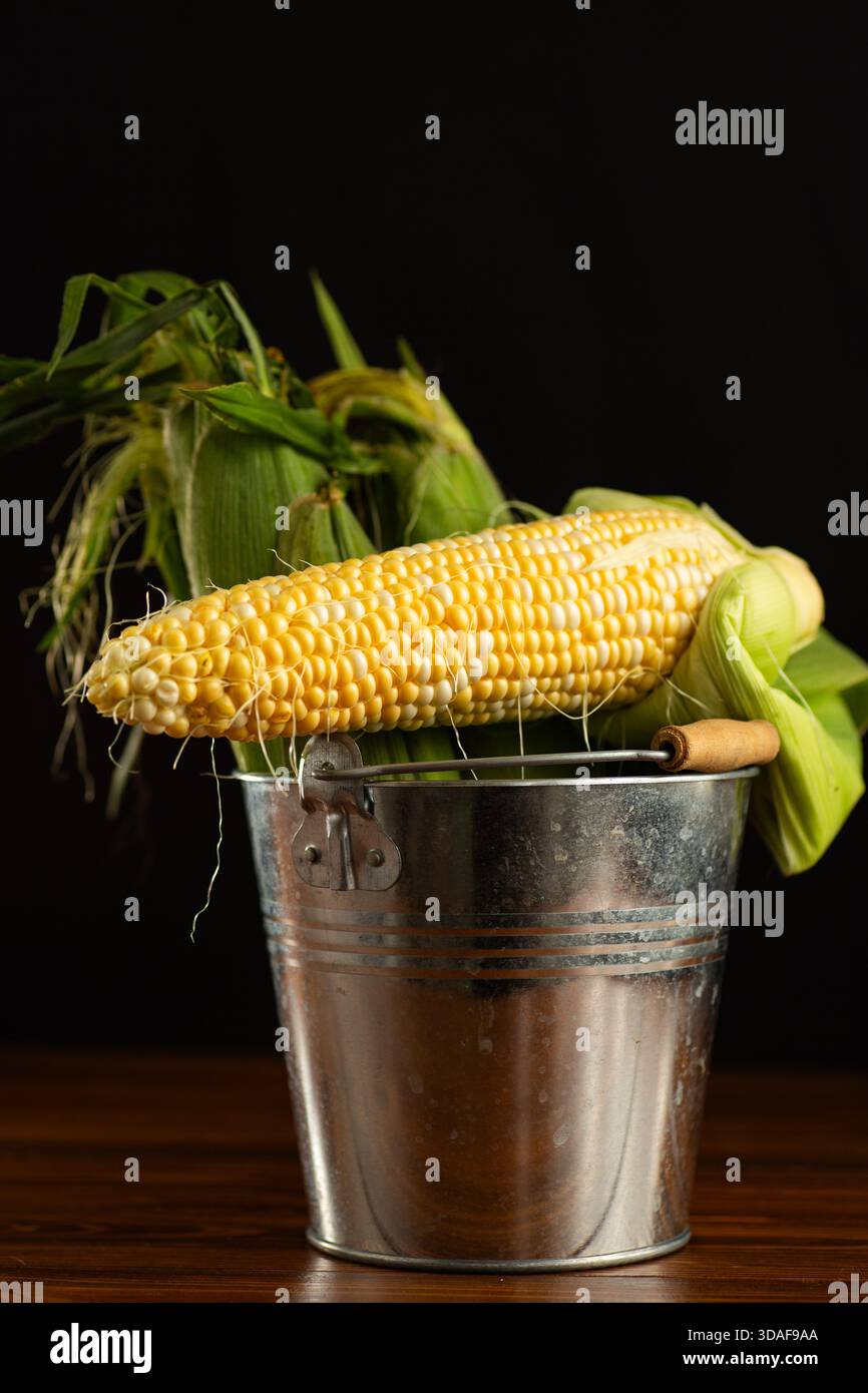 fresh corn cob with husk on black background. Stock Photo