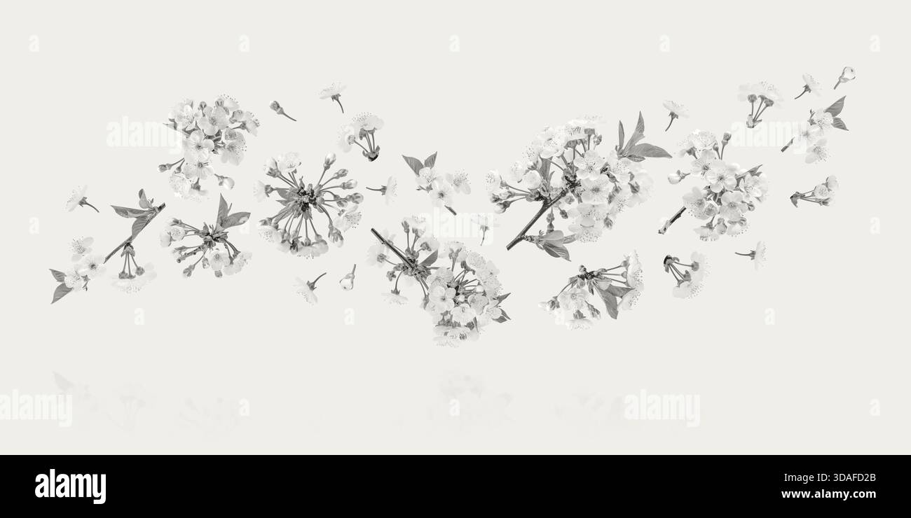 2026 Wallpaper Hi res Stock Photography And Images Alamy 2026-wallpaper-hi-res-stock-photography-and-images-alamy
