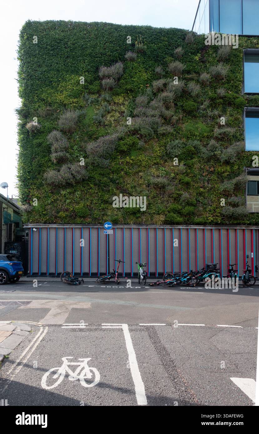 Living Wall, building covered with green foliage in Camden Town, London, England Stock Photo