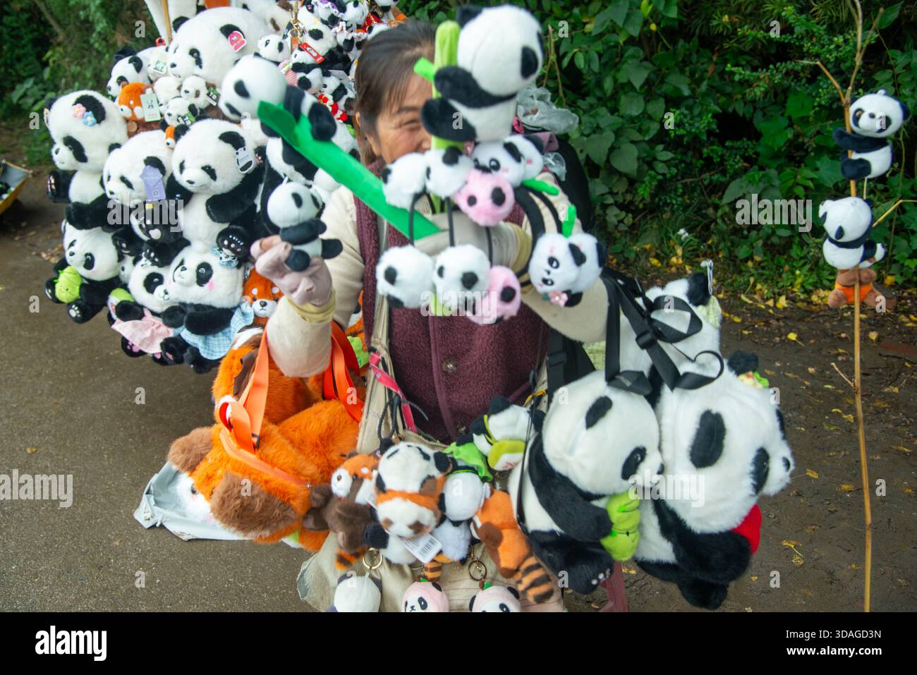 woman selling panda toys at research base of giant panda breeding in ...
