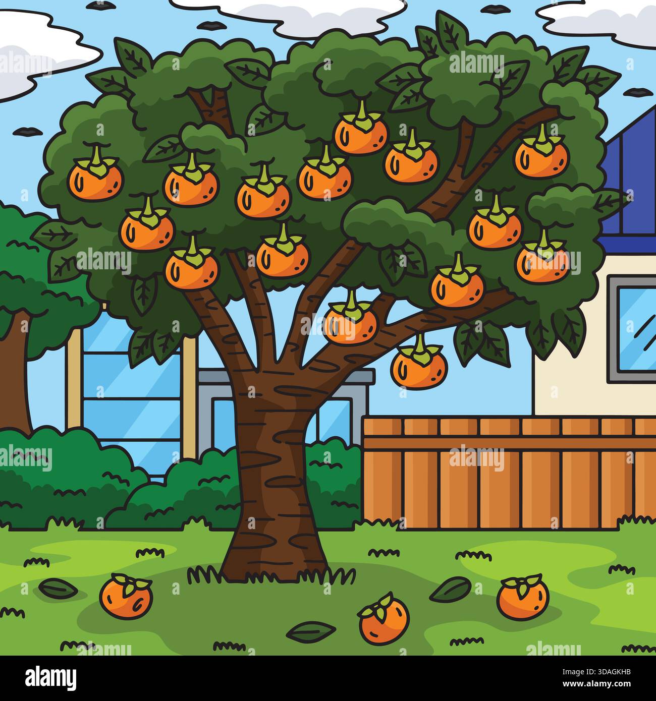Persimmon Tree Fruit Plant Nature Colored Cartoon  Stock Vector