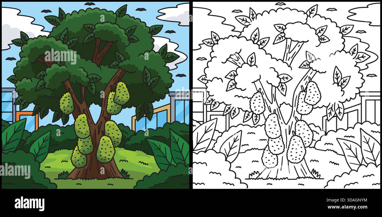 Jackfruit Tree Plant Coloring Page Illustration Stock Vector Image ...
