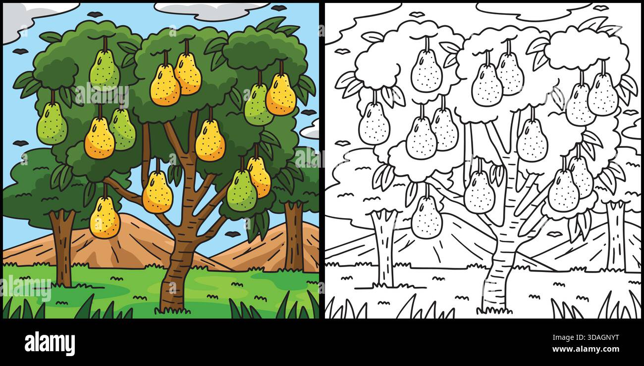 Pear Tree Fruit Plant Coloring Page Illustration  Stock Vector