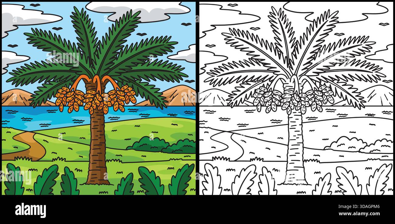 Date Palm Tree Fruit Plant Coloring Illustration  Stock Vector
