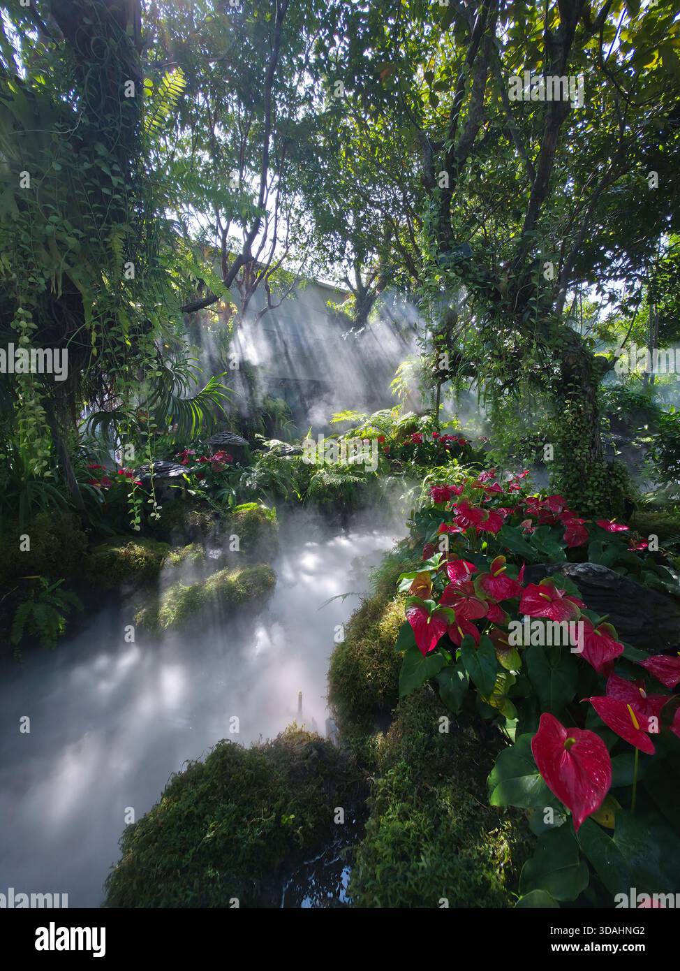Serene pathway through magical tropical garden with lush green foliage ...