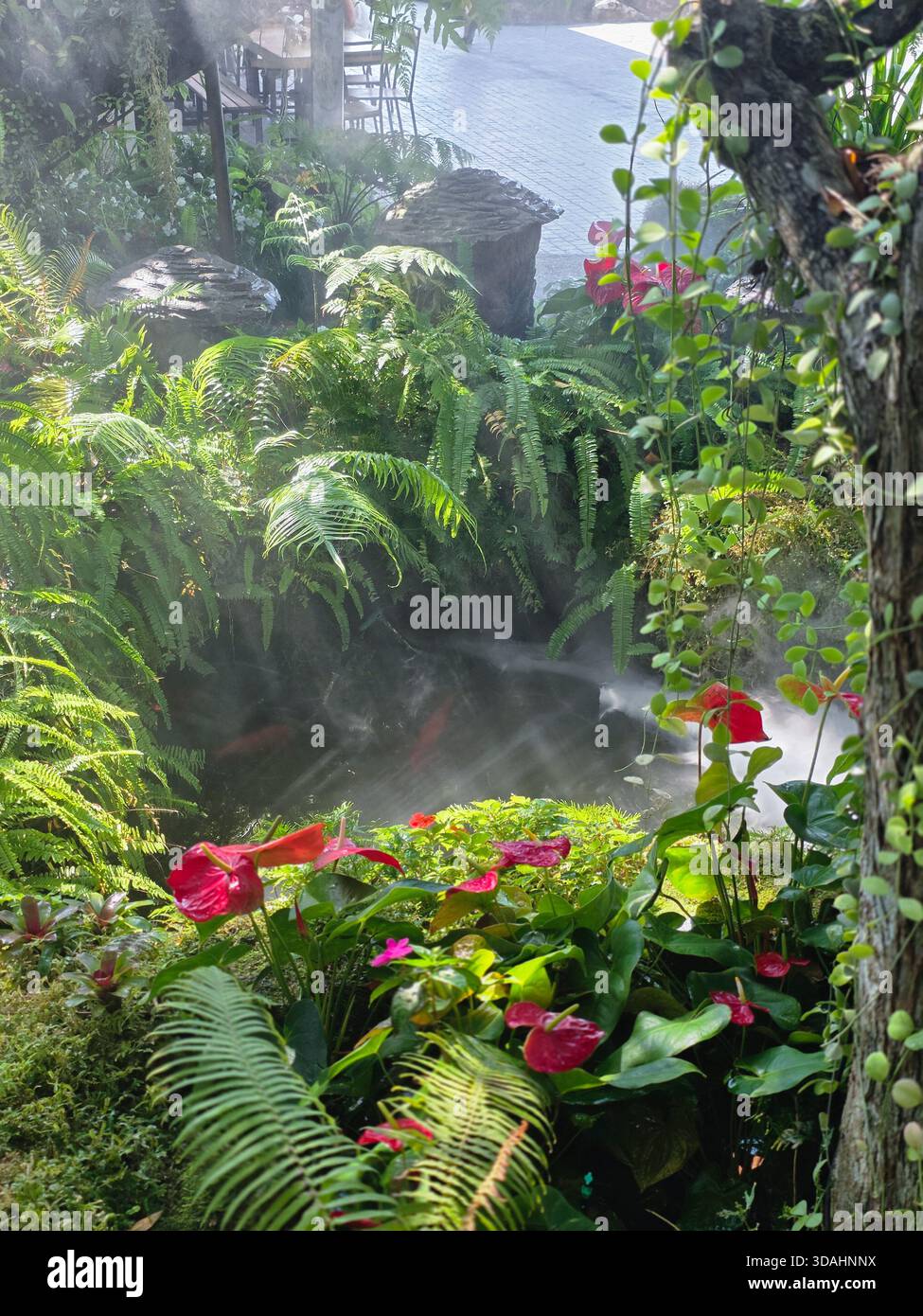 Vertical garden wall features hi-res stock photography and images - Alamy