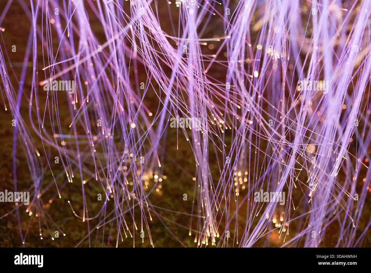 Fiber optic neural network hi-res stock photography and images - Alamy
