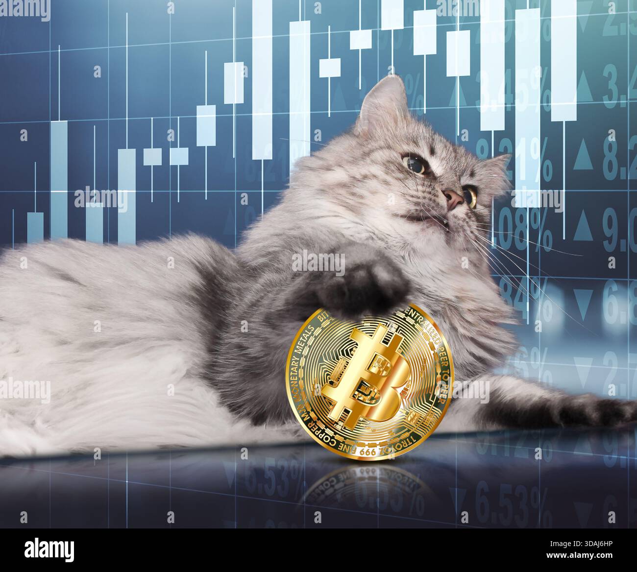 A cat is resting while holding a coin in front of charts displaying market  trends related to cryptocurrency Stock Photo - Alamy
