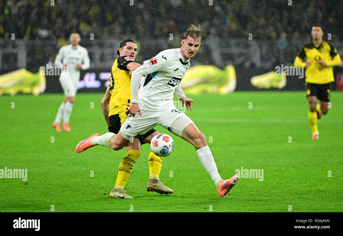 from left: Marcel Sabitzer, Max Moerstedt (Hoffenheim) Dortmund, December  7, 2025, Soccer, Bundesliga [Bundesliga], Borussia Dortmund - TSG 1899  Hoffenheim 2:0 Stock Photo - Alamy