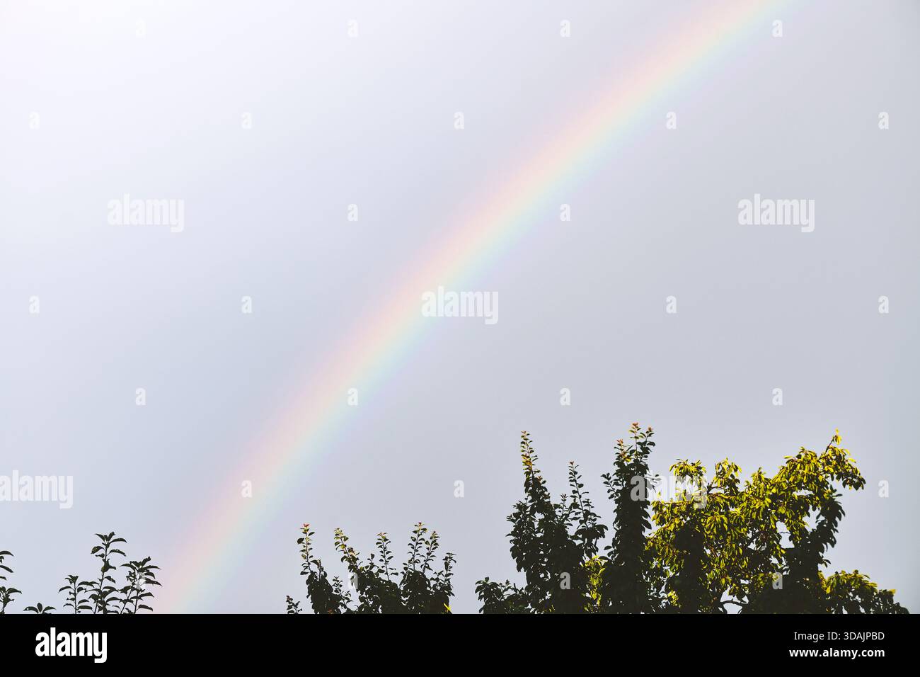 Bright rainbow arcs across hi-res stock photography and images - Alamy