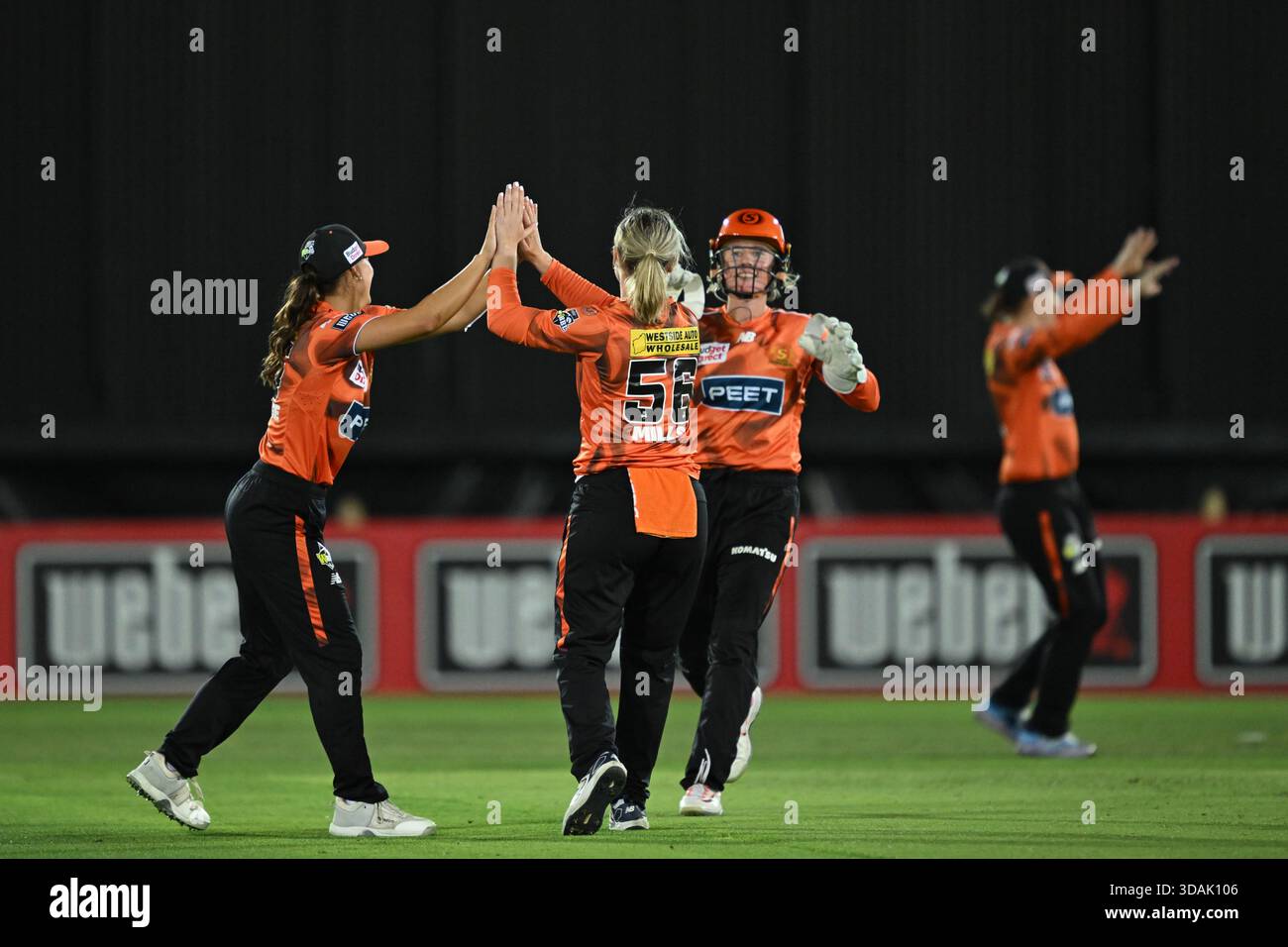 Lilly Mills of the Scorchers celebrates taking the wicket of Amelia ...