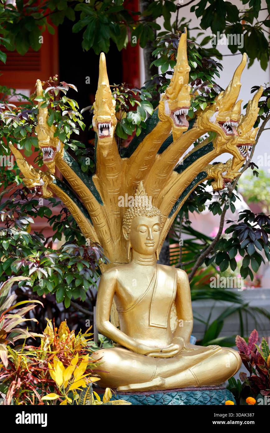 gagan / snake palm & buddha set 【公式通販】