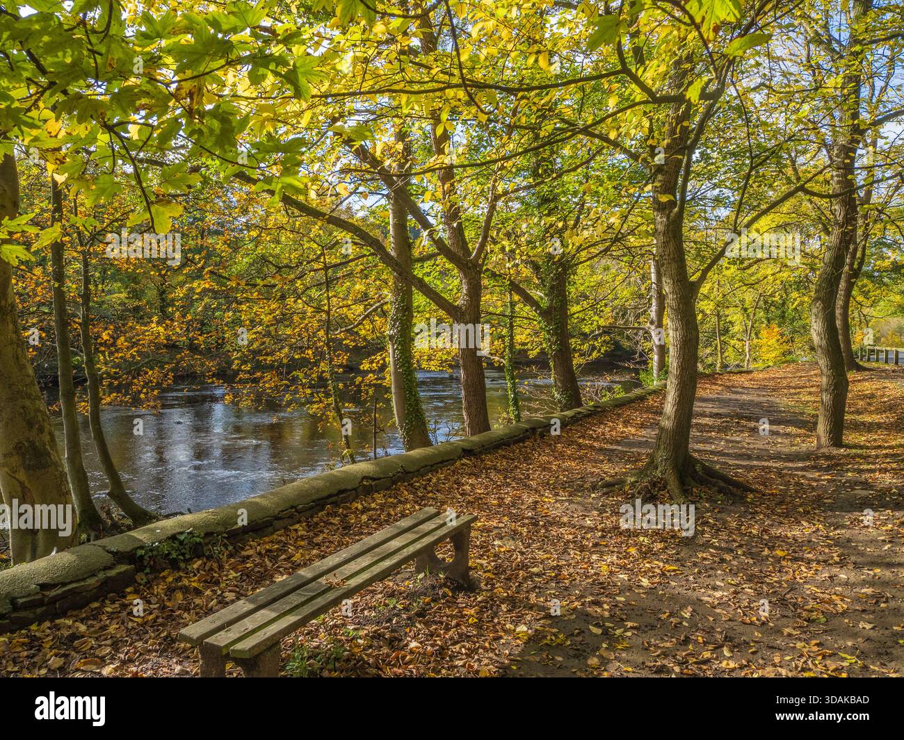 Richmond road hi-res stock photography and images - Alamy