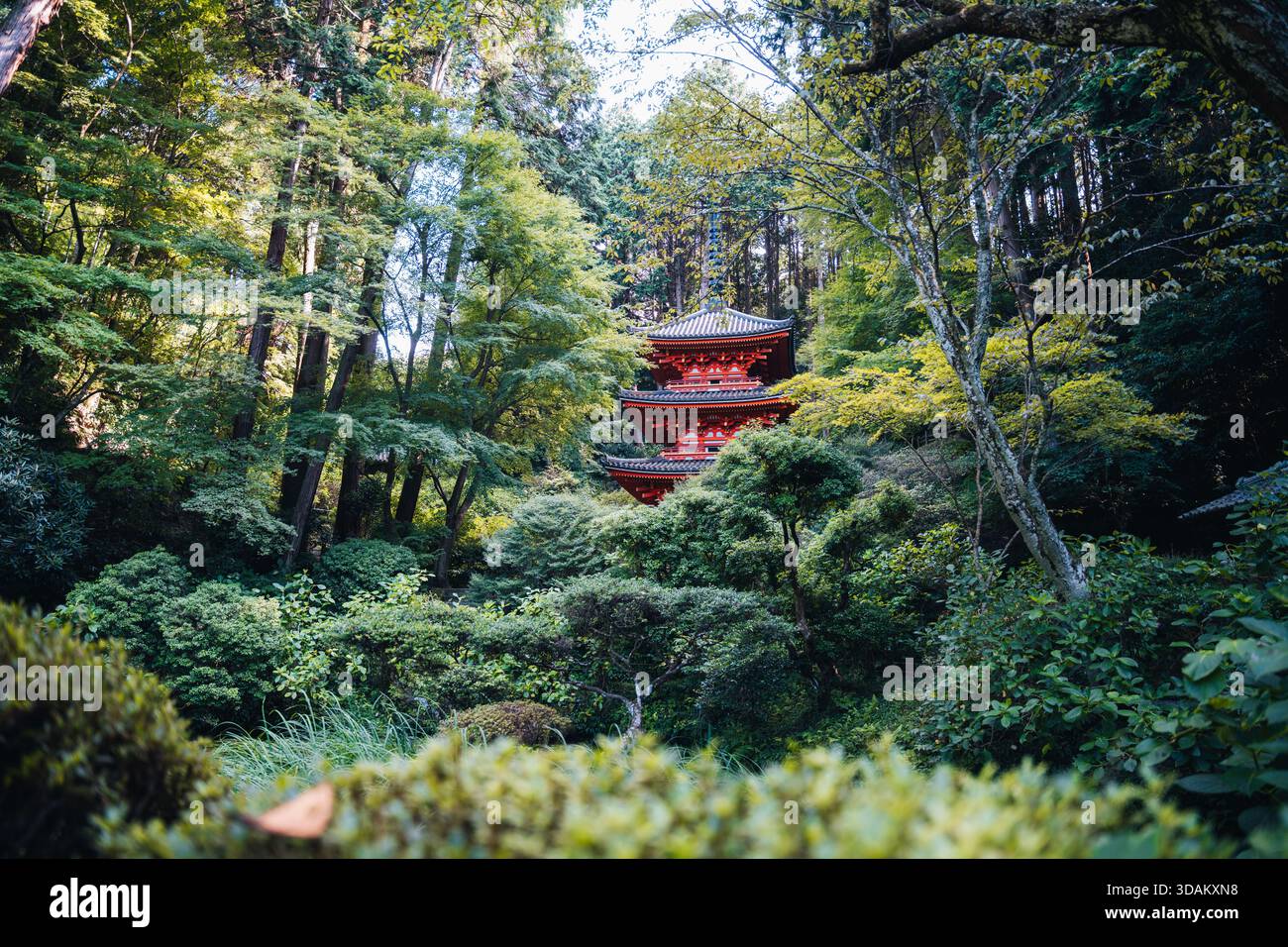 Japanese pagoda nestled in a lush green forest, a serene and spiritual landscape Stock Photo